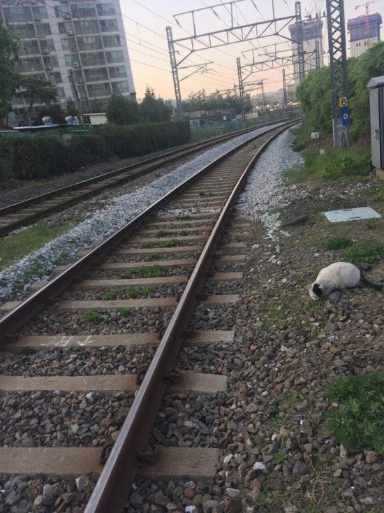 기찻길주점 이미지