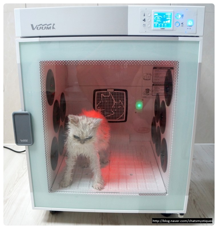 뿌띠 이미지