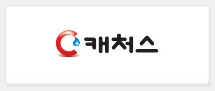 캐처스 이미지
