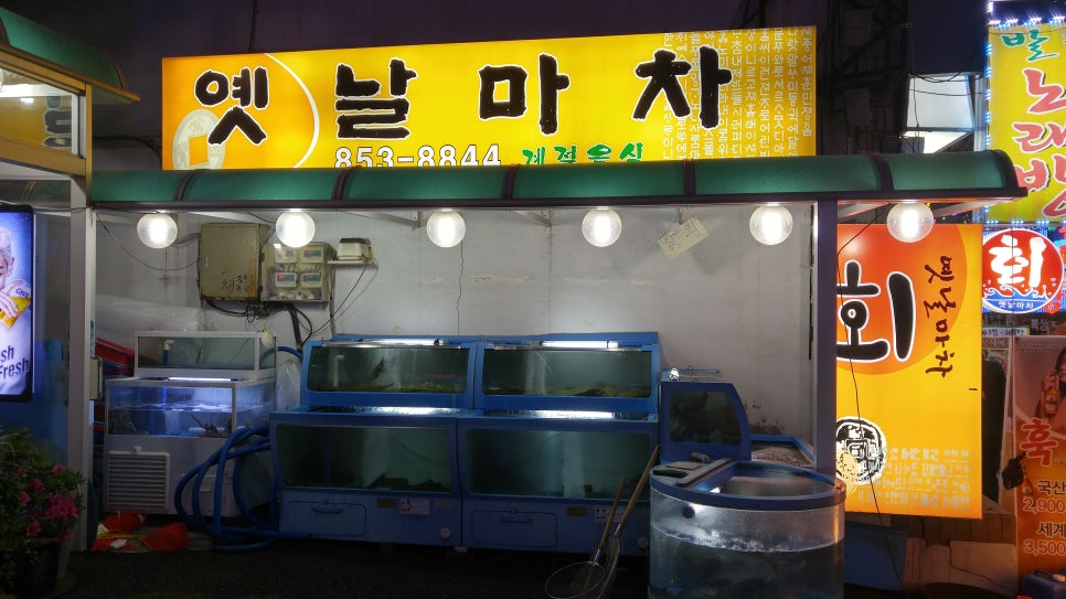 싱싱회마차 이미지