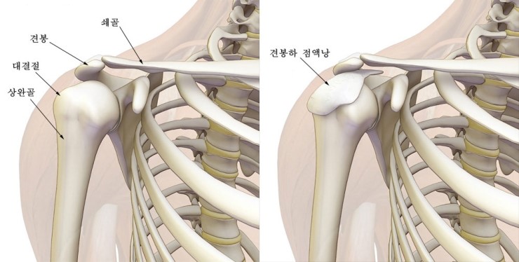 굿닥터정형외과의원 이미지