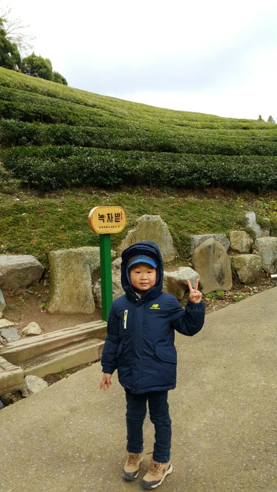 녹색농심인삼마을 이미지