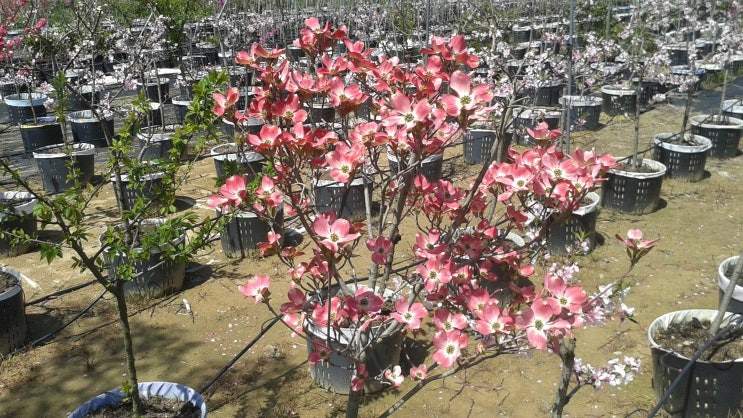 미소농장 이미지