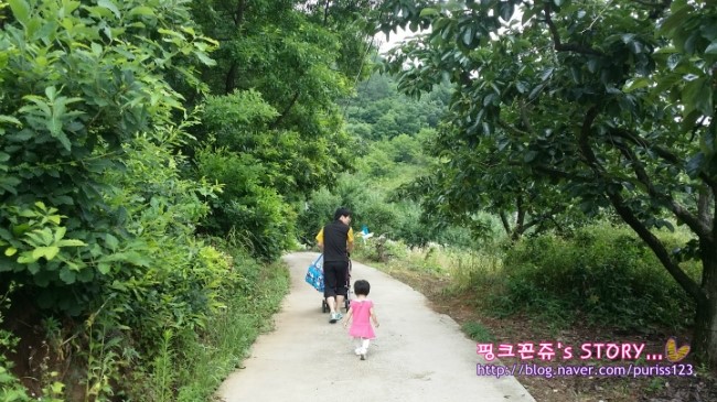 청도.어울림글램핑타운 이미지