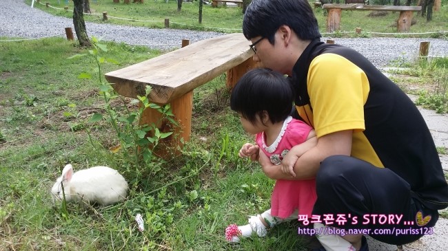 청도.어울림글램핑타운 이미지