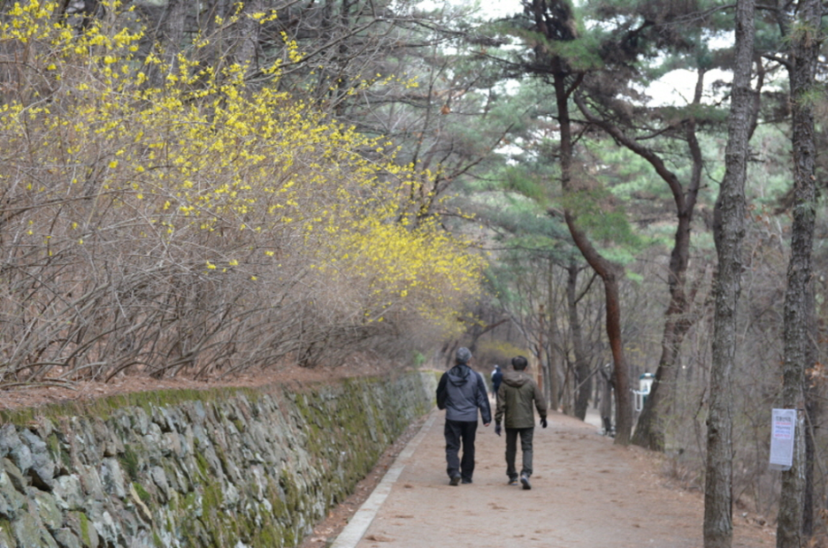 학수약수터 이미지
