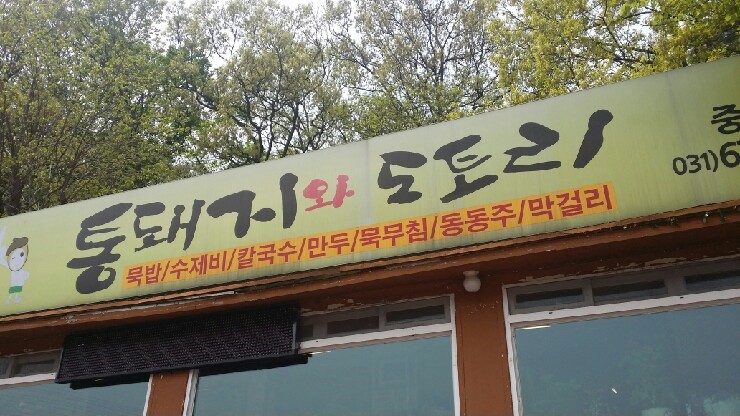 통돼지와도토리 이미지