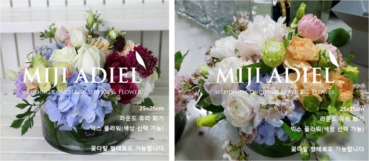 아디엘 이미지
