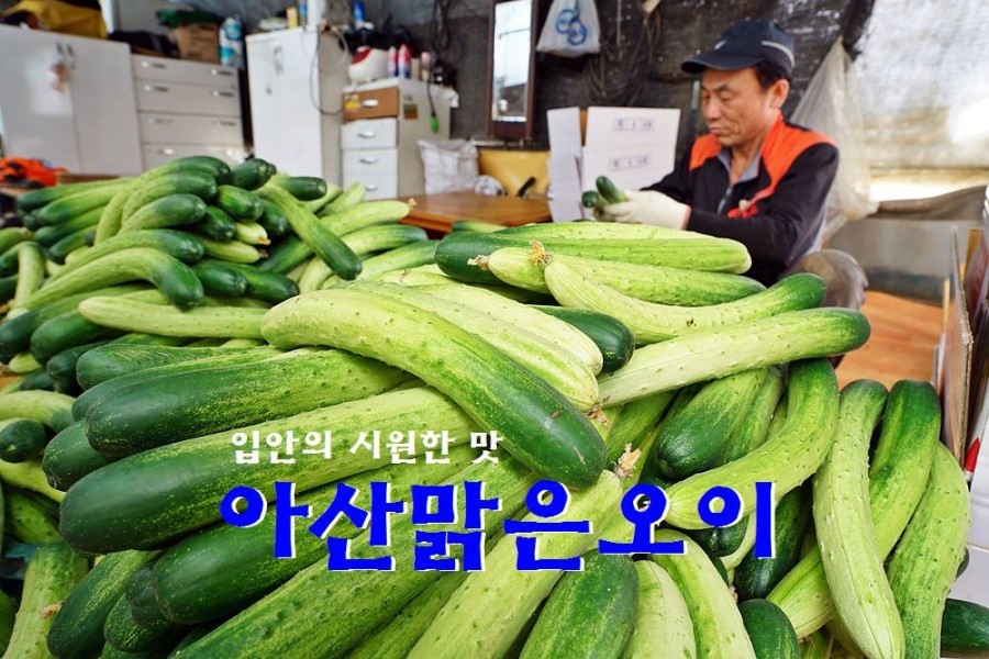 복수농특산물 이미지