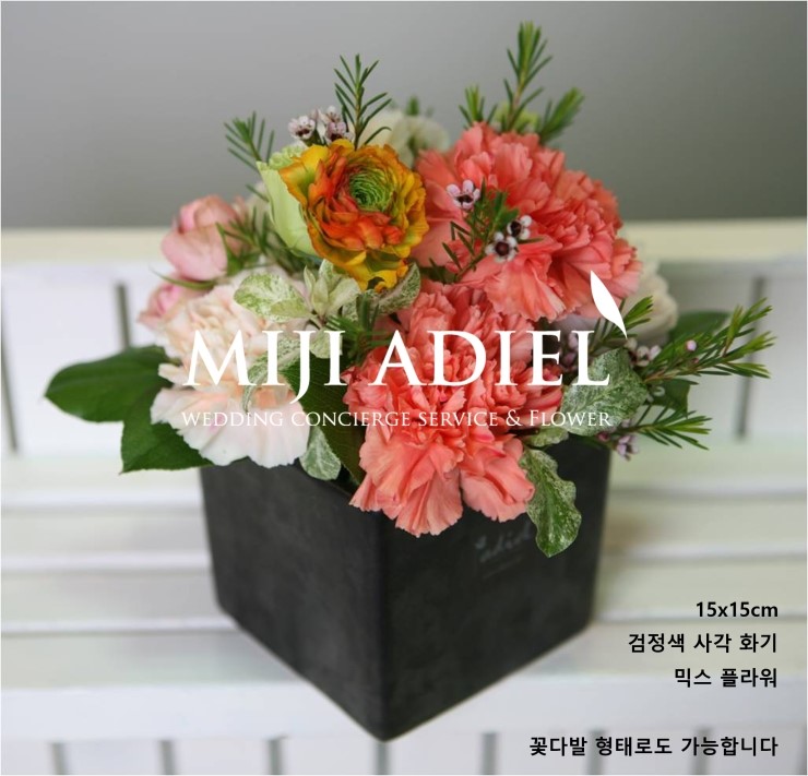 아디엘 이미지