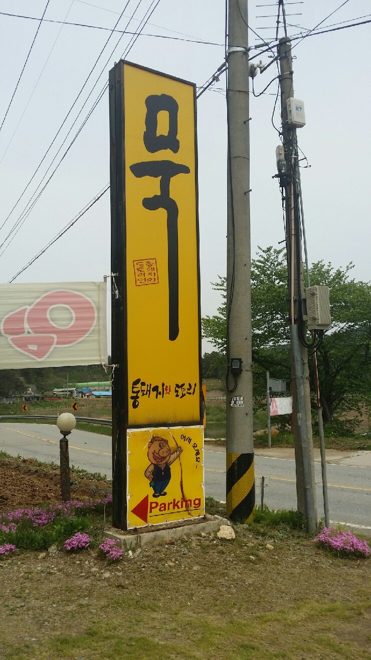 통돼지와도토리 이미지