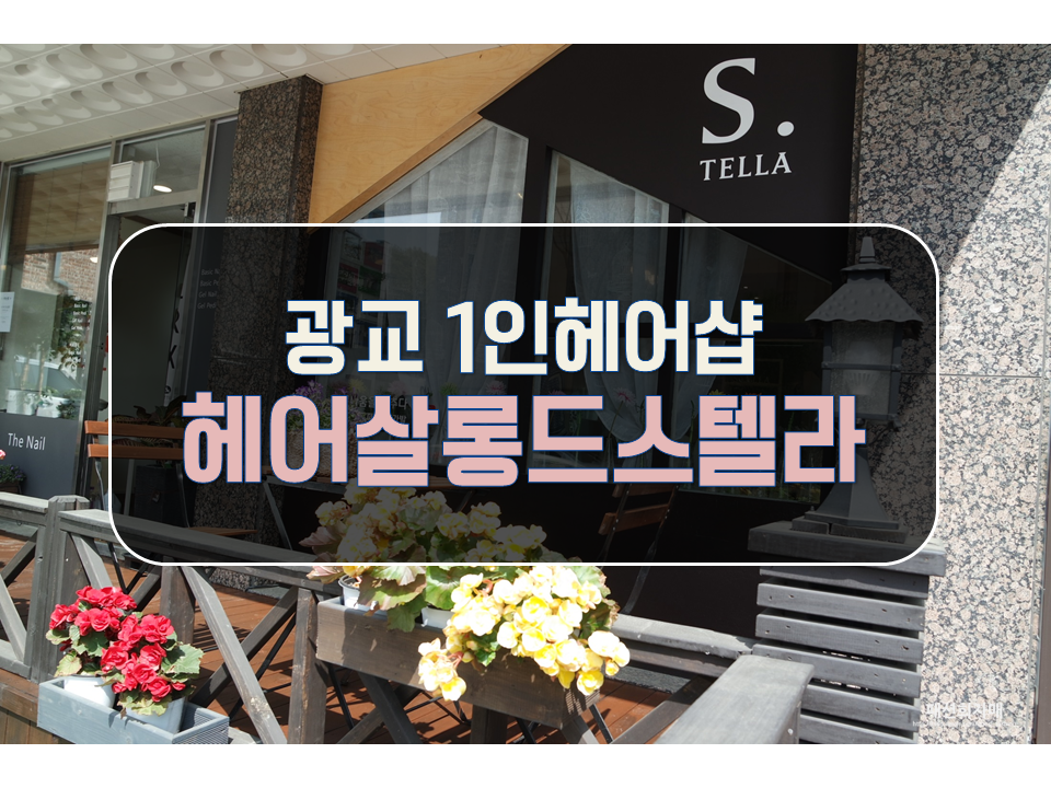 살롱드스텔라 이미지