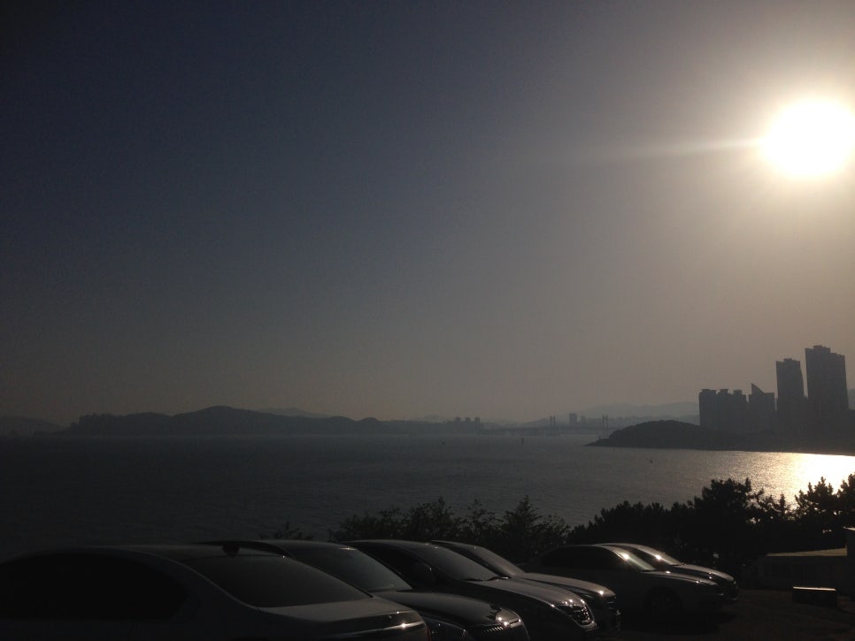 심리국밥 이미지