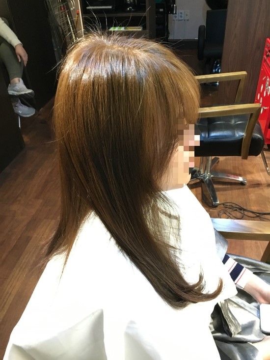 브라운시저스 이미지