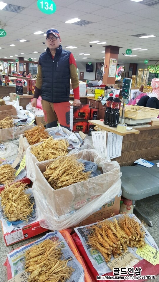 골드인삼134호 이미지