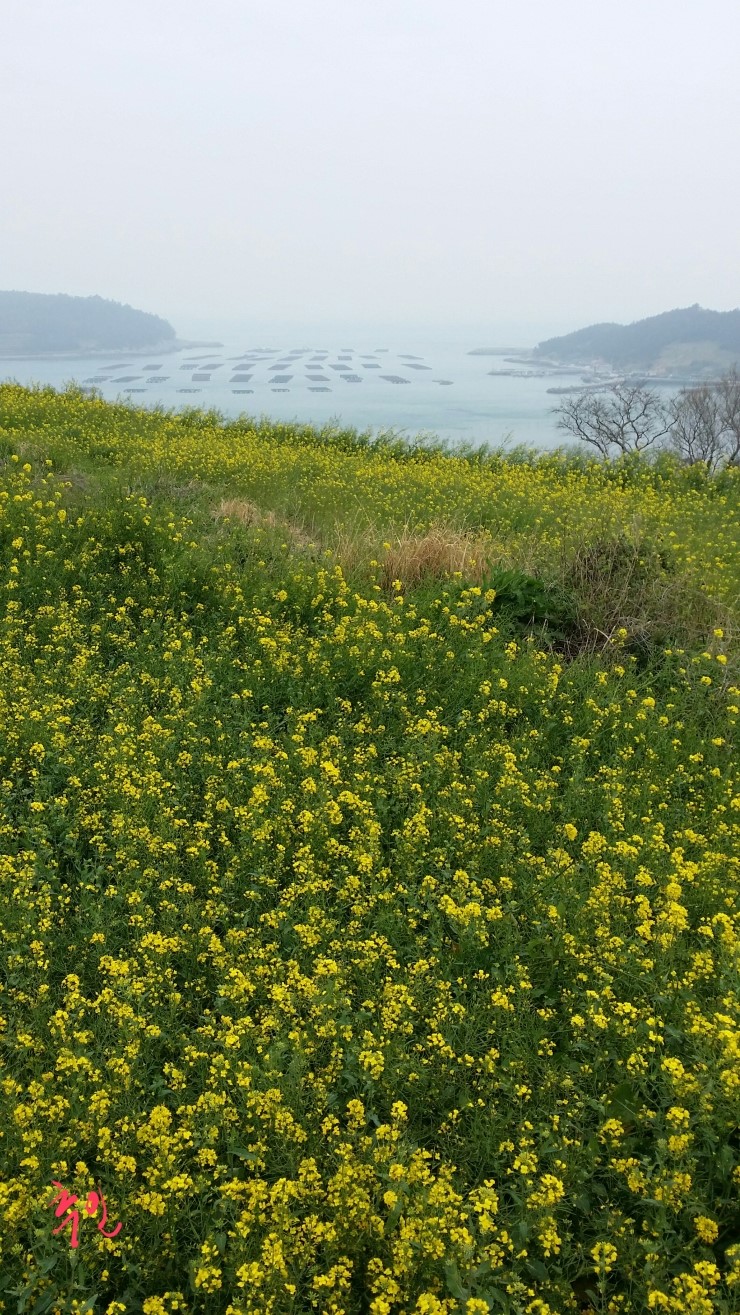 무안비치호텔 이미지