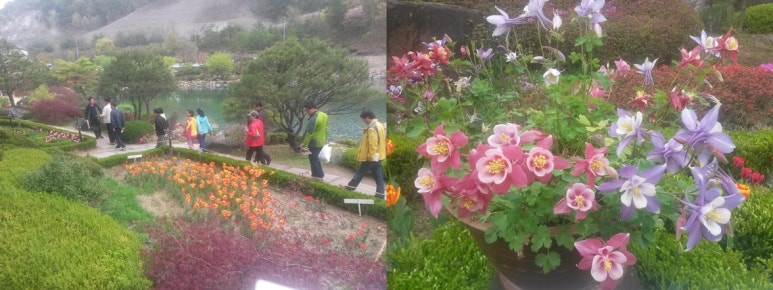 농업회사법인(주)장산 이미지