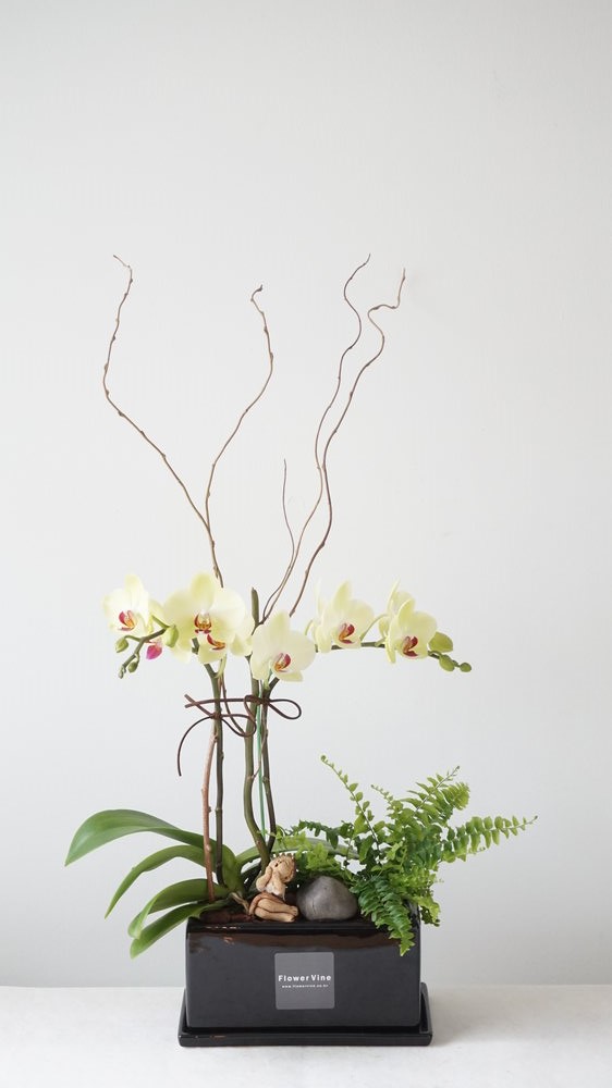 바인세라믹 이미지