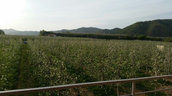청송필농원 이미지