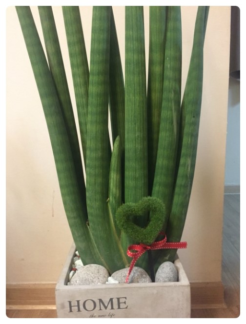 대도슈퍼 이미지