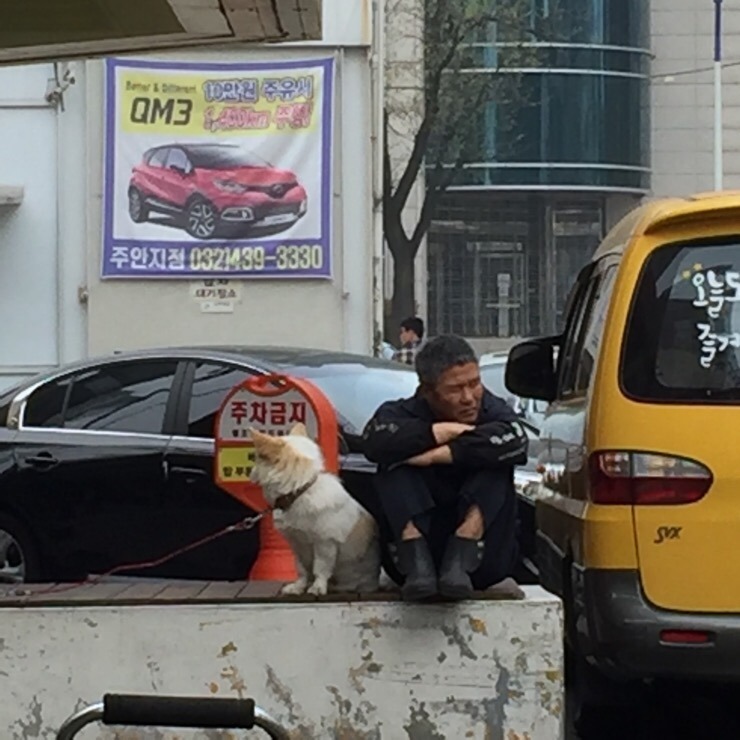 평화세차장 이미지