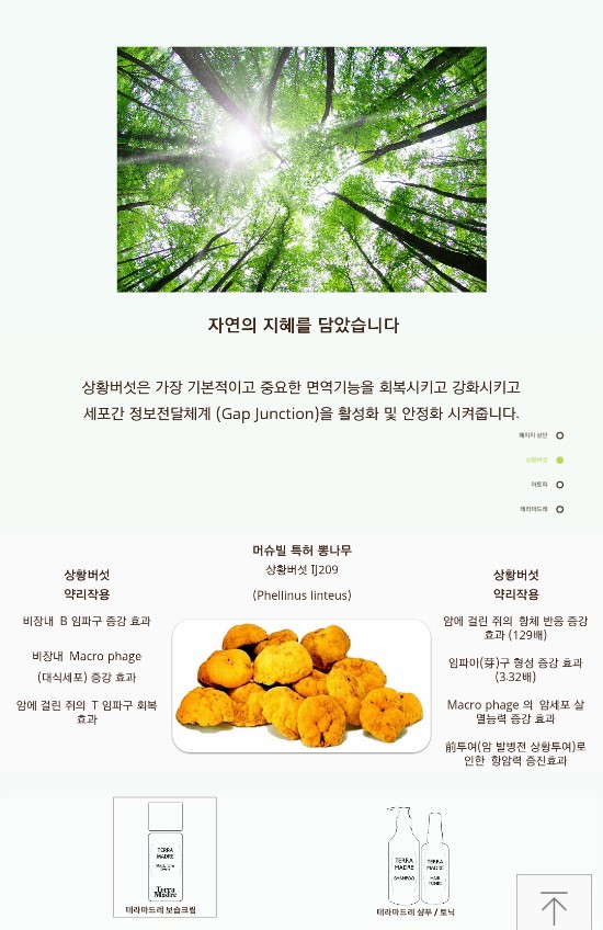 (주)머슈빌 이미지