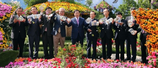 꽃나비다육 이미지