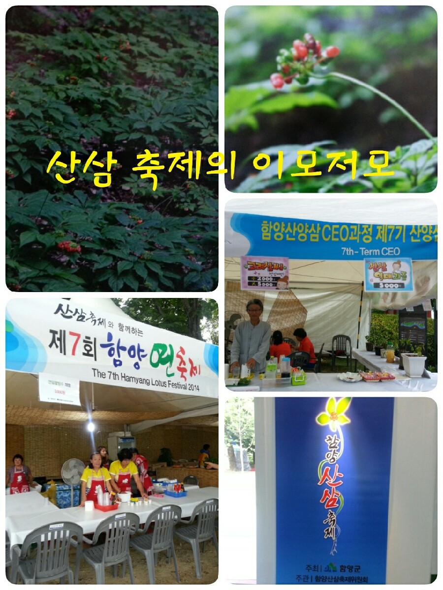 큰밭농원 이미지