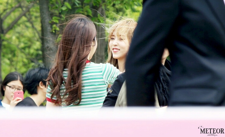 꽁냥꽁냥 이미지