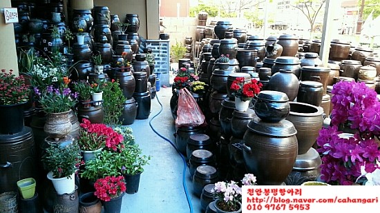 문학동항아리화분 이미지
