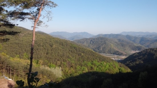 유곡농원 이미지