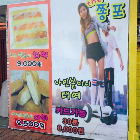 the 쫑포 이미지