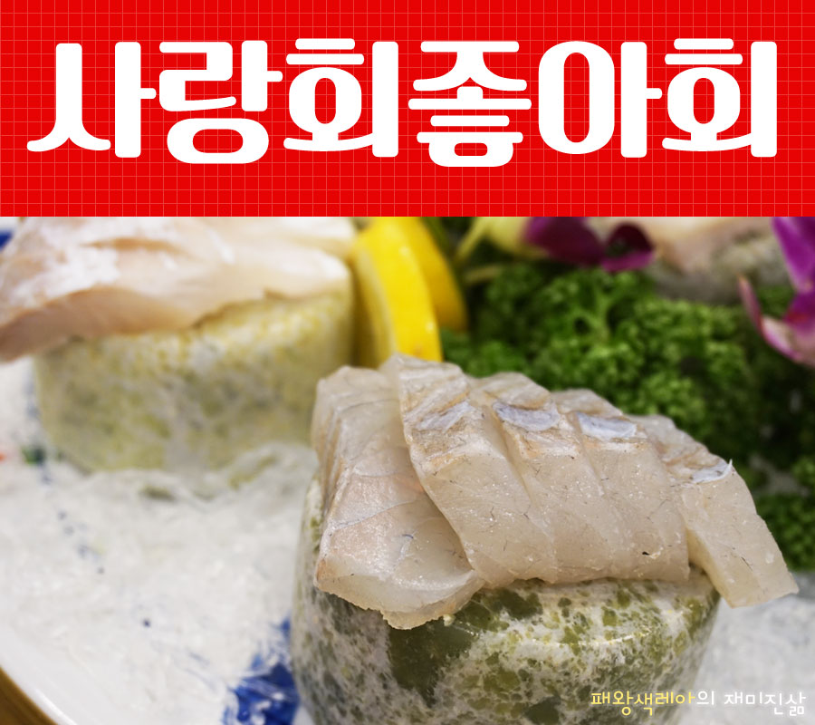 사랑회좋아회 이미지