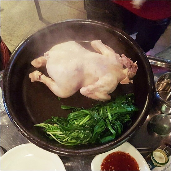 꼬꼬포차 이미지