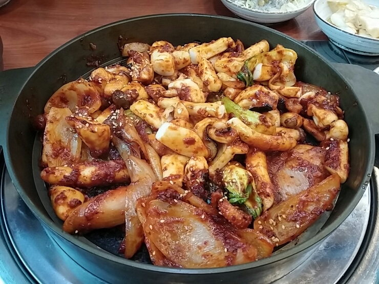 조가네갑오징어 이미지