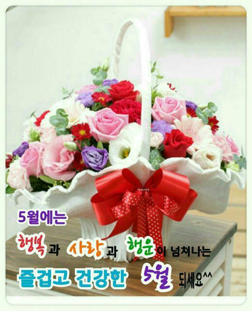 들마당 이미지