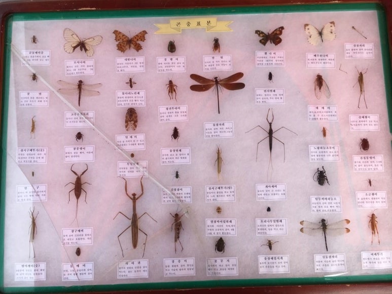 새빛유치원 이미지