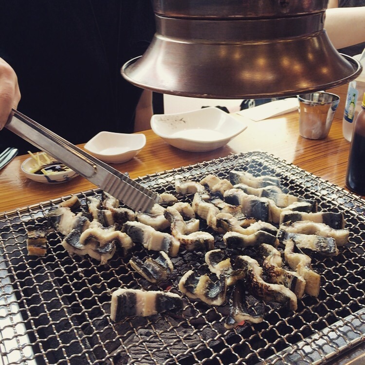 별난장어 이미지