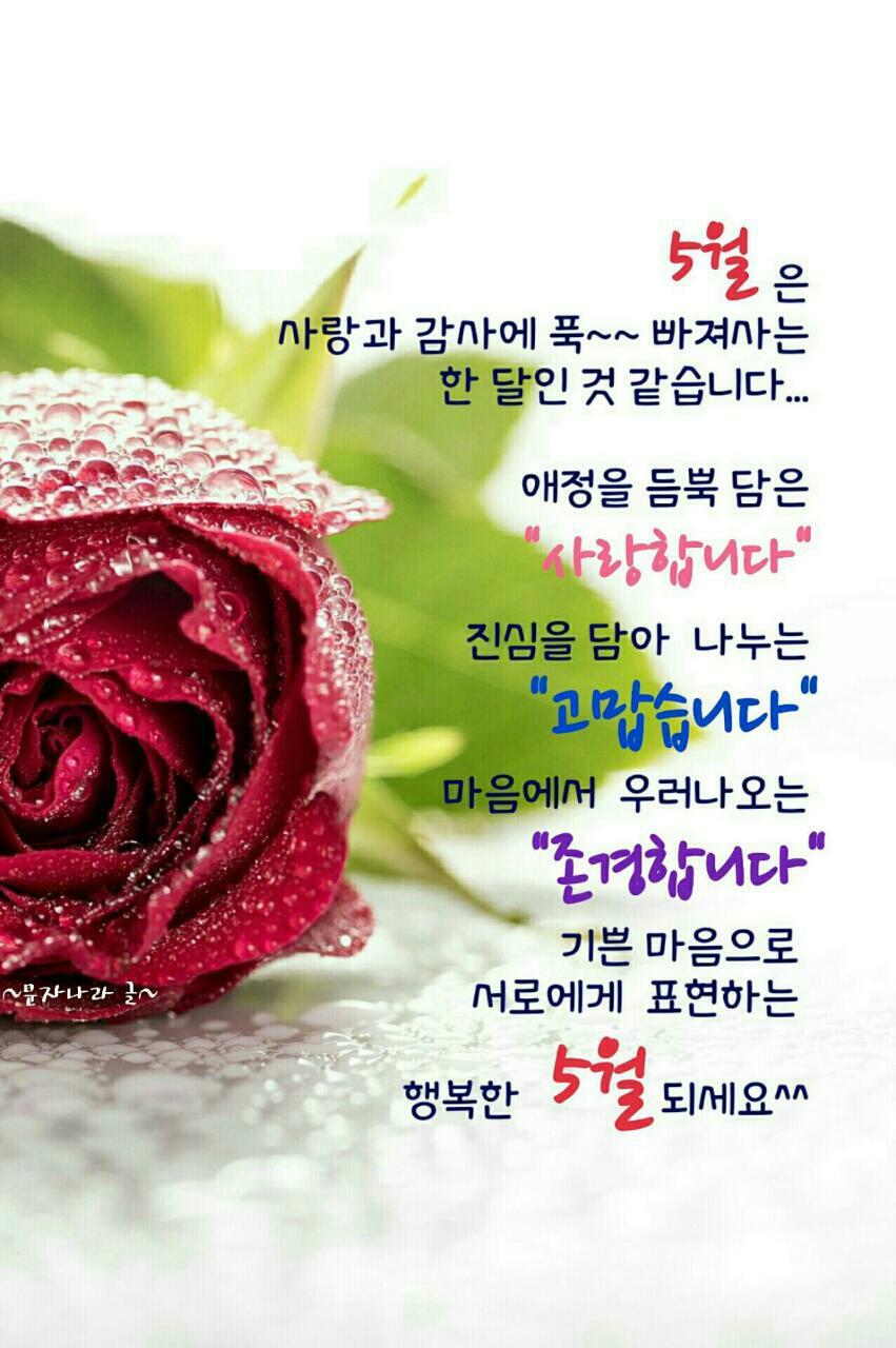 들마당 이미지