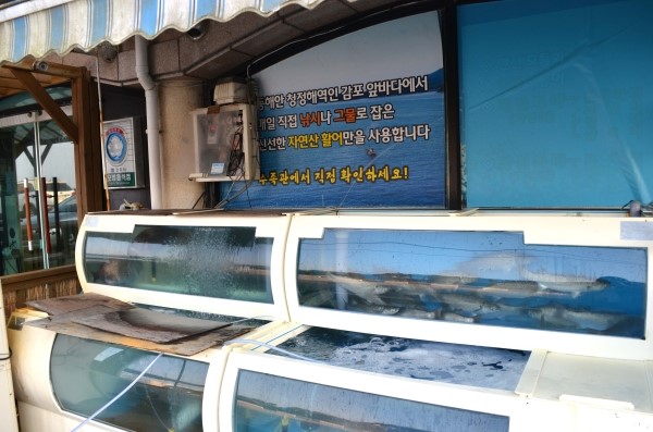 경주활어센타 이미지