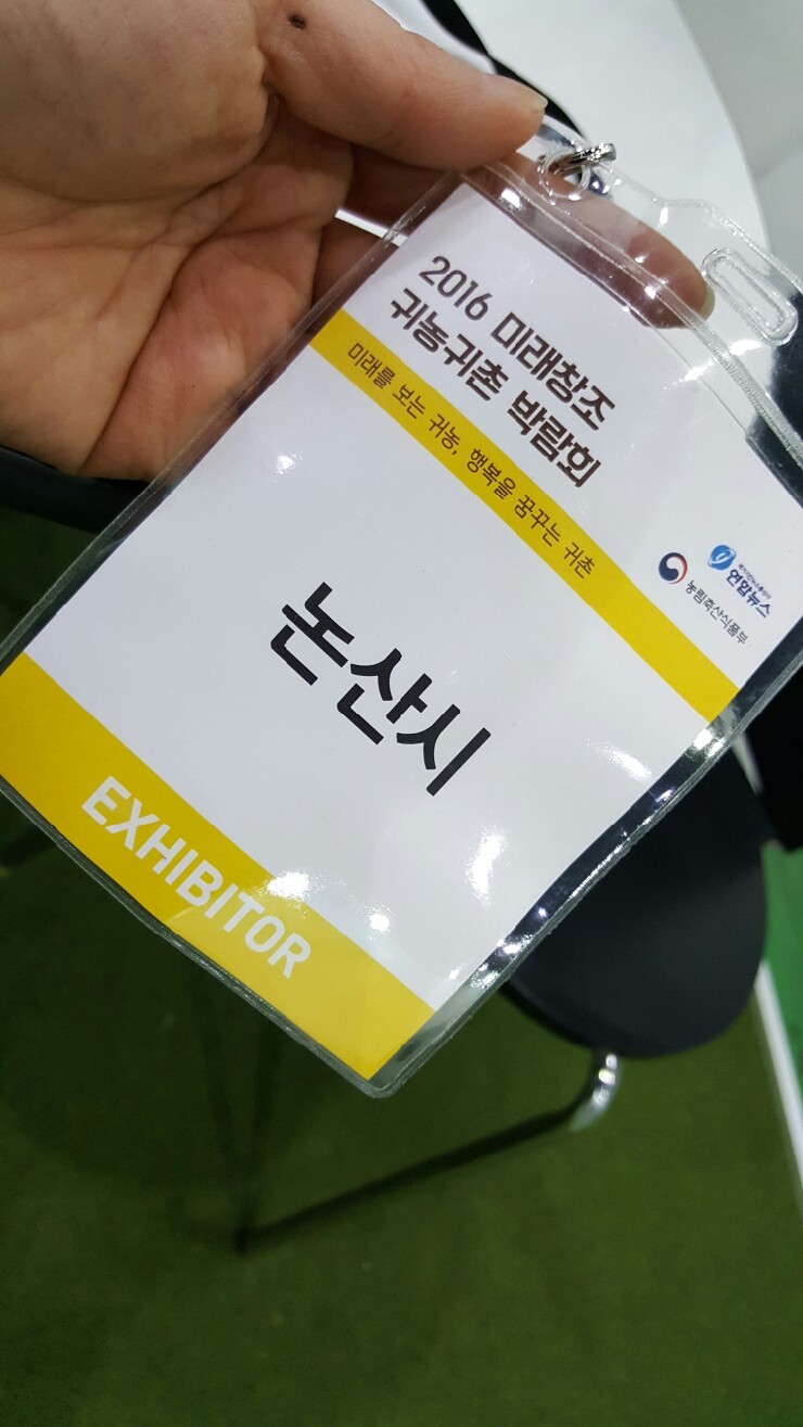 하늘맑은와송 이미지