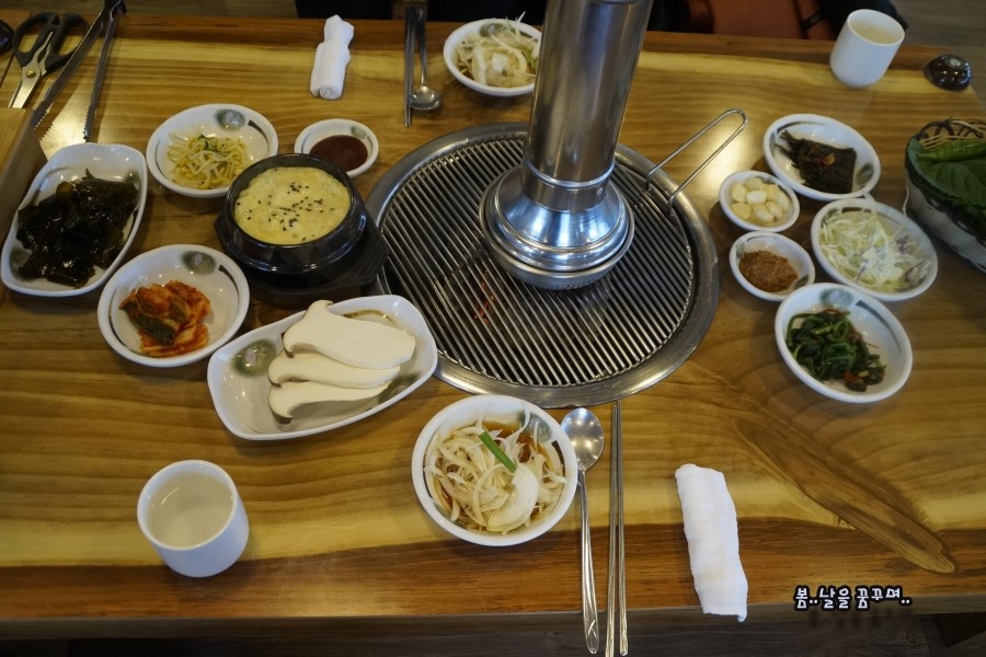 바로돼지 이미지