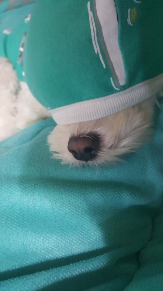 오늘은떡볶이 이미지