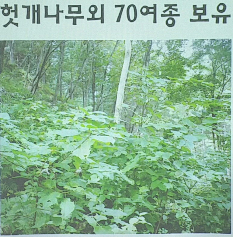 산방환담 이미지