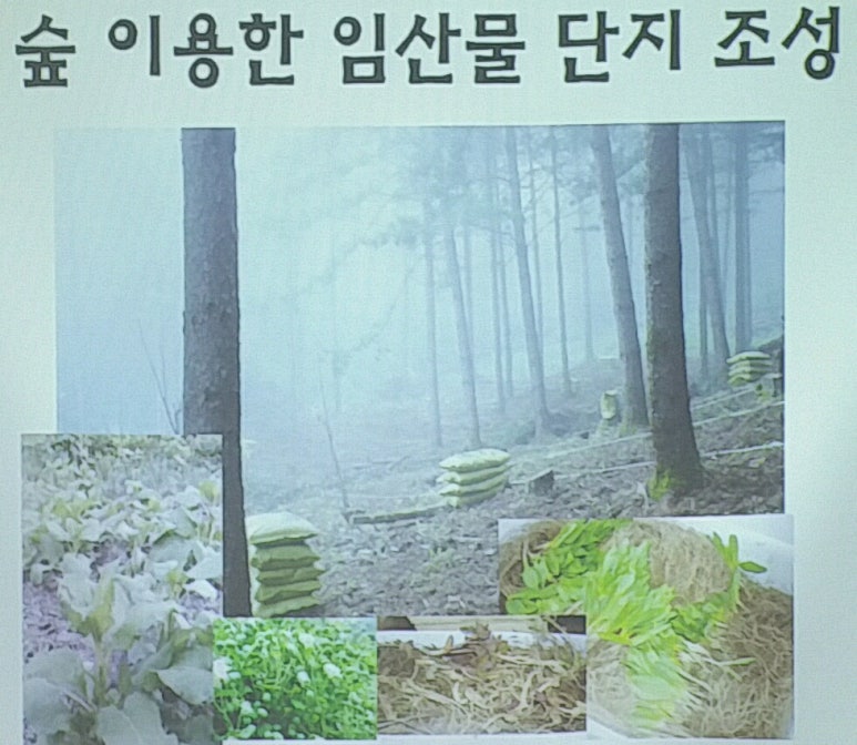 산방환담 이미지