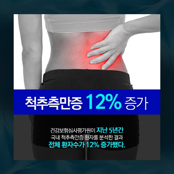 바로세움 이미지