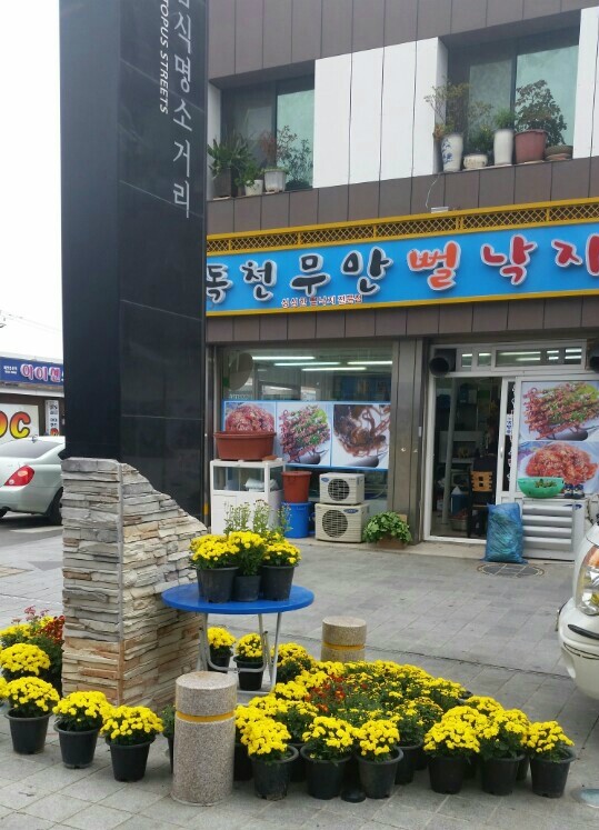 독천무안뻘낙지 이미지