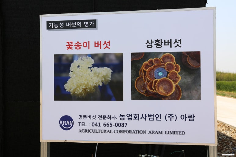 (주)아람미디어 이미지