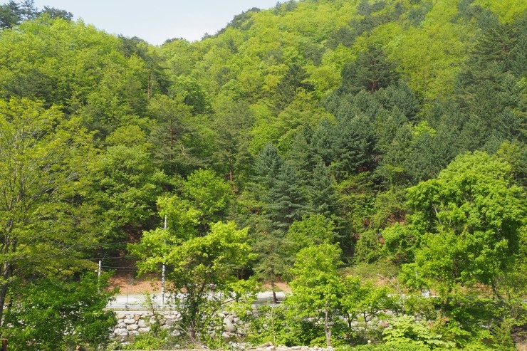 숲과벗 이미지