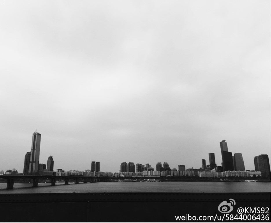 엘스타 이미지